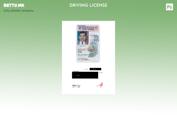 модерен стил САД Индијана возачка дозвола (оператор) под шаблон